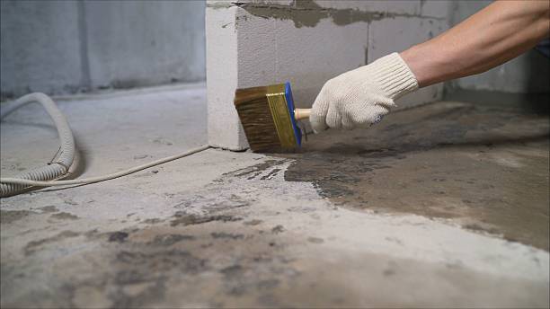 Crawl space vapor barrier installation in Roseville, MI